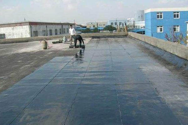 1589272555218993.jpg 04.jpg