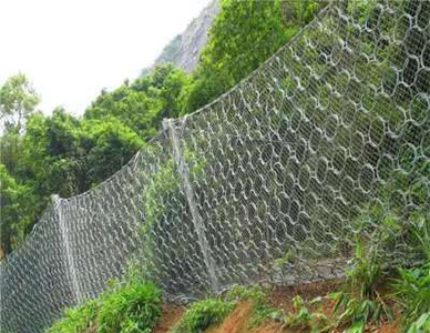 1769500399215944.jpg 1.jpg