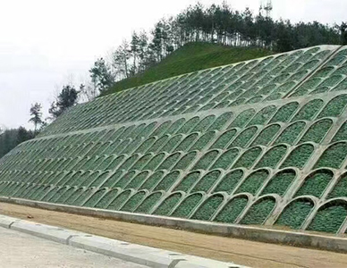 1769500405779495.jpg 8.jpg