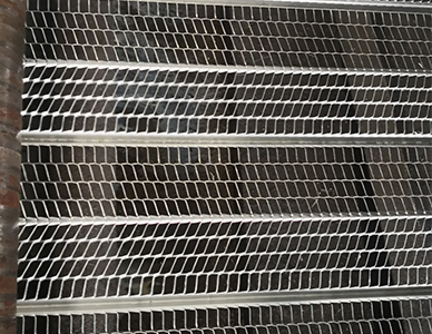 有筋扩张网13.jpg