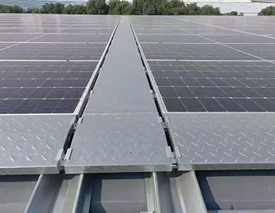 1775813667900138.jpg 888.jpg