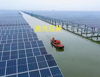 1775813686677009.jpg 555.jpg