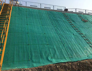 1775814062934550.jpg 18.jpg