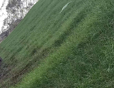 1775814067261810.jpg 19.jpg