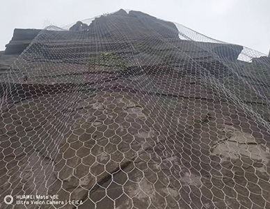 1775814259422356.jpg 新闻3.jpg