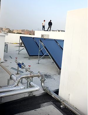 1775814944641637.jpg 1.jpg